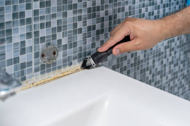 Trusted Navasota, TX Mold Removal Experts